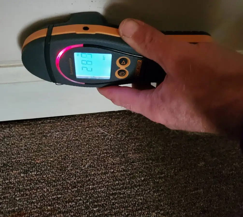 Moisture detection at baseboard during Sewage Cleanup & Sanitation in West Goshen